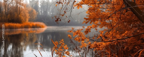 Clean lake landscape surrounded by trees in autumn