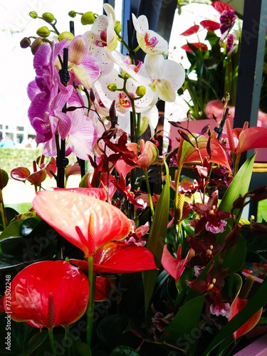 floristic, orchid and other beautiful flowers