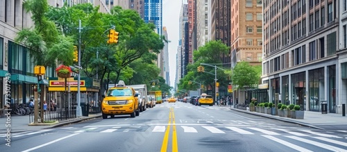 A quiet New York city street in summer with a view of the bright sun