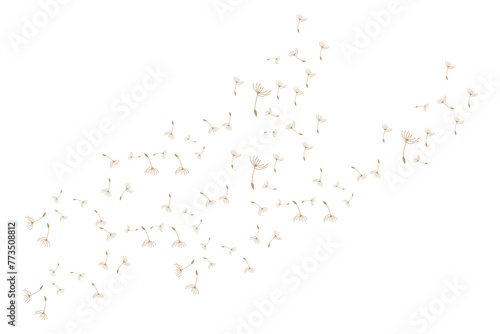 Dandelion Logo, Vector Plant Dandelion flower, Design Icon Template