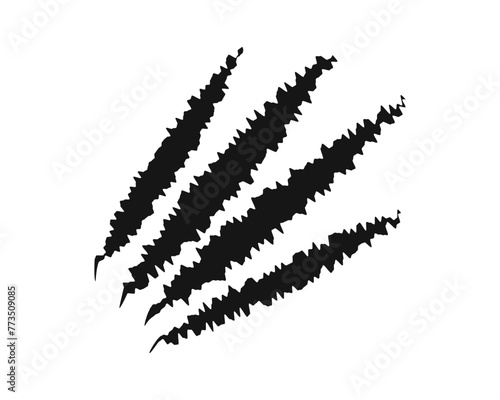 Scratch claw marks. Bear, wolf, toger or panther, dragon, monster or werewolf talons trace isolated on white background. Scary torn scars. Wild animal scratches track. Vector graphic illustraton.