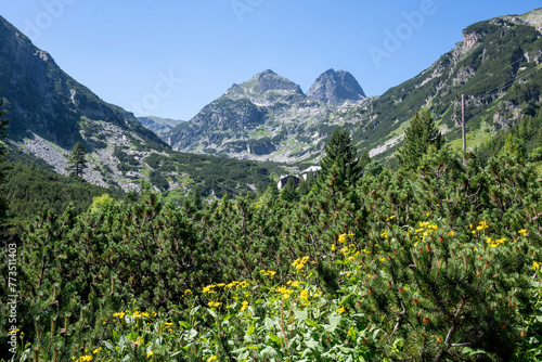 Summer landscape of Rila Mountain near Malyovitsa peak, Bulgaria © Stoyan Haytov