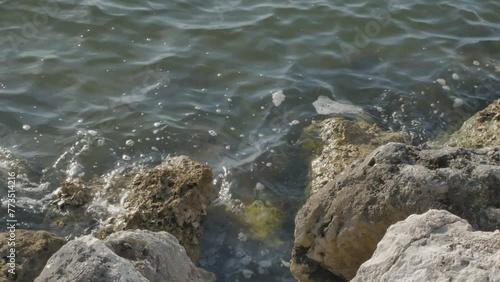 Overhead view of multiple colored rocks on edge of seawall. Wave water crashes over porous  rocks with barnacles. In the early morning sun with bubbles and reflections. In Saint Petersburg, FL , USA
