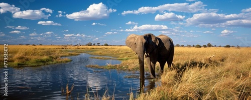 Portrait of an elephant drinking water from a lake in the forest