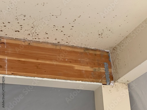 Wooden beam with mold 