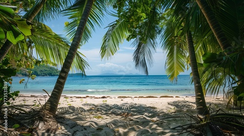 An idyllic tropical beach framed by palms sets the scene for a holiday or vacation