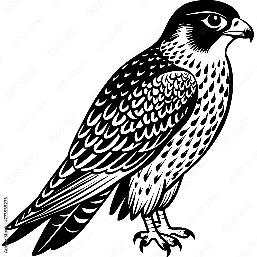  falcon silhouette vector art illustration