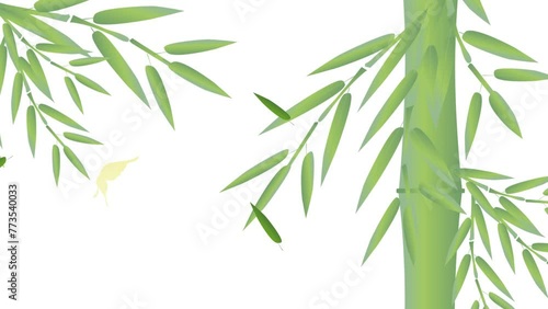 揺れる竹の笹の葉の場面から上からすだれに色紙が貼ってあり藤の花を添えているメッセージボードが出てくる photo