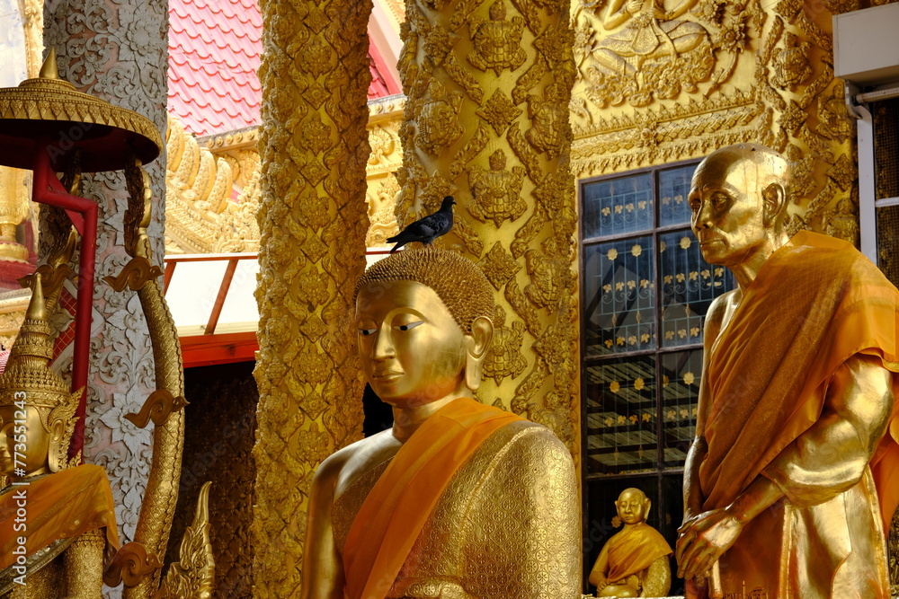 Fototapeta premium statue of buddha, LUANGPULIU, LuangPU LIU,wat rai tang tong,hai temple, temple , thai, turtle,thai buddha