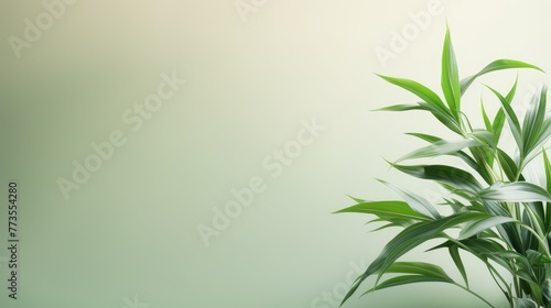 A flourishing green plant against a calming neutral gradient  backdrop for promoting environmental initiatives or sustainable practices  isolated leaves against green background