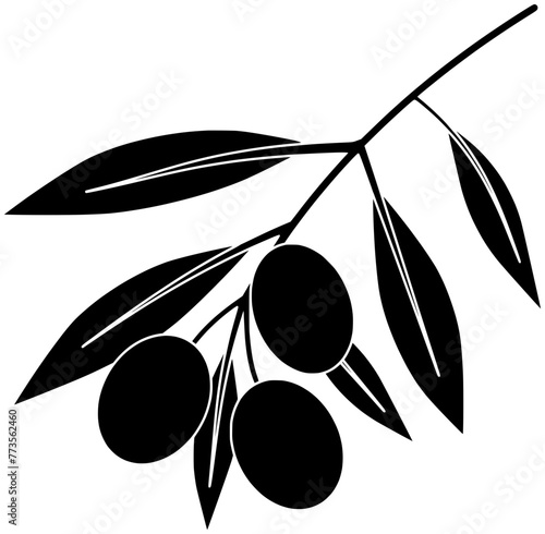 olive illustration plant silhouette leaf logo branch icon fruit outline tree food green oil natural nature organic leaves greek shape mediterranean botanical floral for vector graphic background