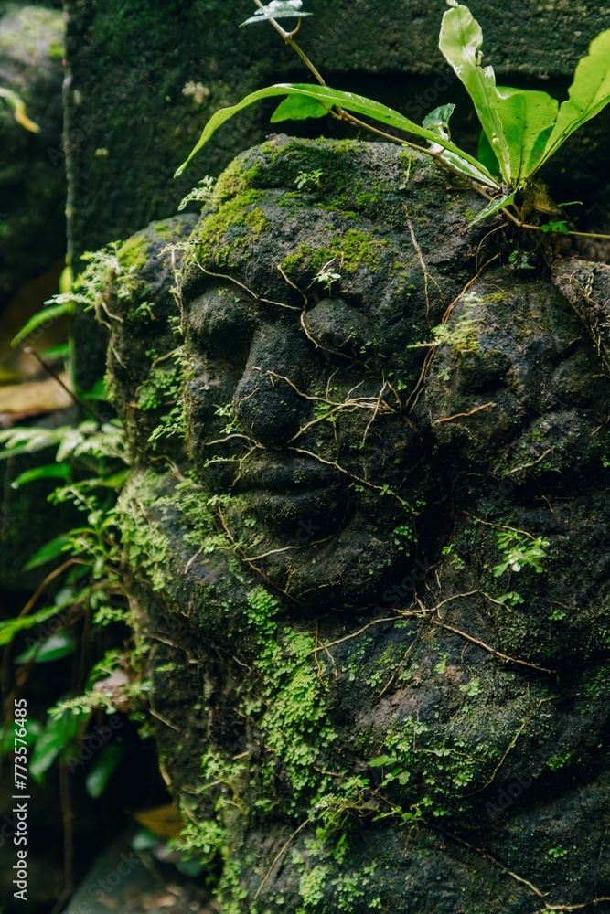 Rock statue faces covered in plants. Ubud, Bali, Indonesia.