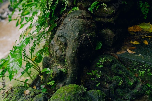 Rock statue face of Ganesh elephant with plants surrounding it. Ubud  Bali  Indonesia.
