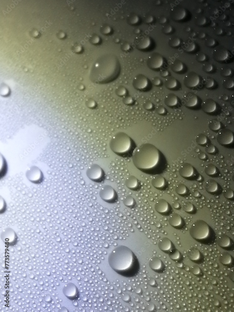 水玉 水玉