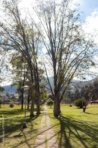 Corte vertical do parque Antônio Molinari - POÇOS DE CALDAS, MG, BRAZIL - JULY 22, 2023: Vertical section of the immense Antônio Molinari municipal park.