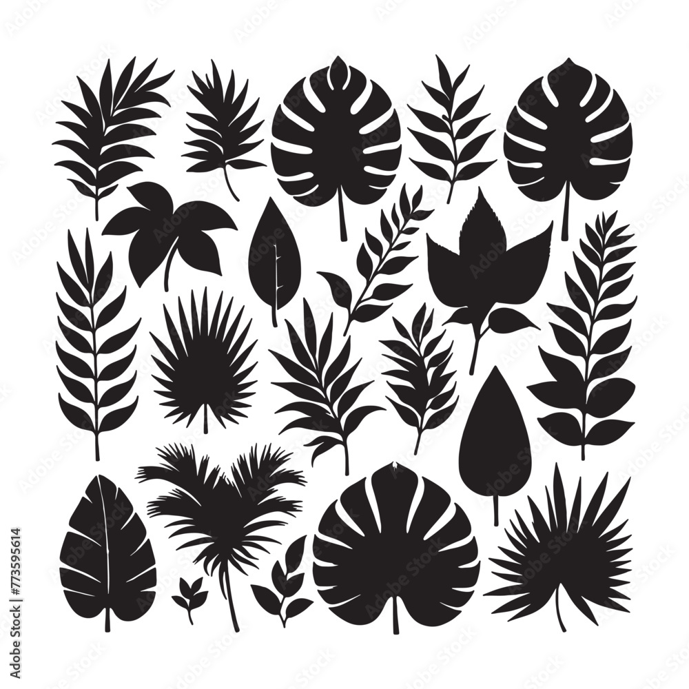 set of silhouettes of tropical leaves set of silhouettes of tropical leaves
