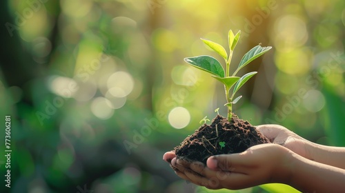 Thin focus on hand, Child holding young seedling plant in hands on green background to plant on soil.