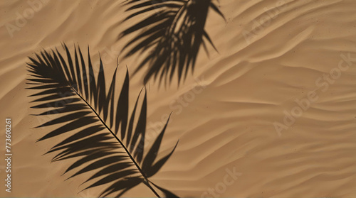 Tropical Leaves Placed On White Canvas, HD, Background Wallpaper, Desktop Wallpaper.generative.ai