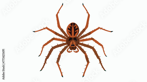Brown spider on white background illustration flat © visual