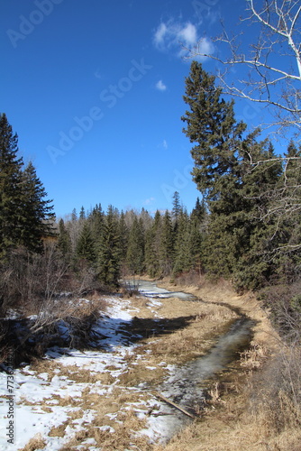 Spring Down The Creek, Whitemud Park, Edmonton, Alberta