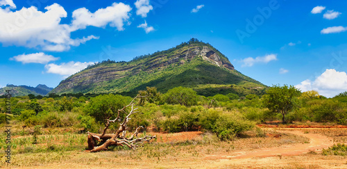 Slika na platnu The Taita Hills escarpment near Tsavo West offer dramatic views across the south