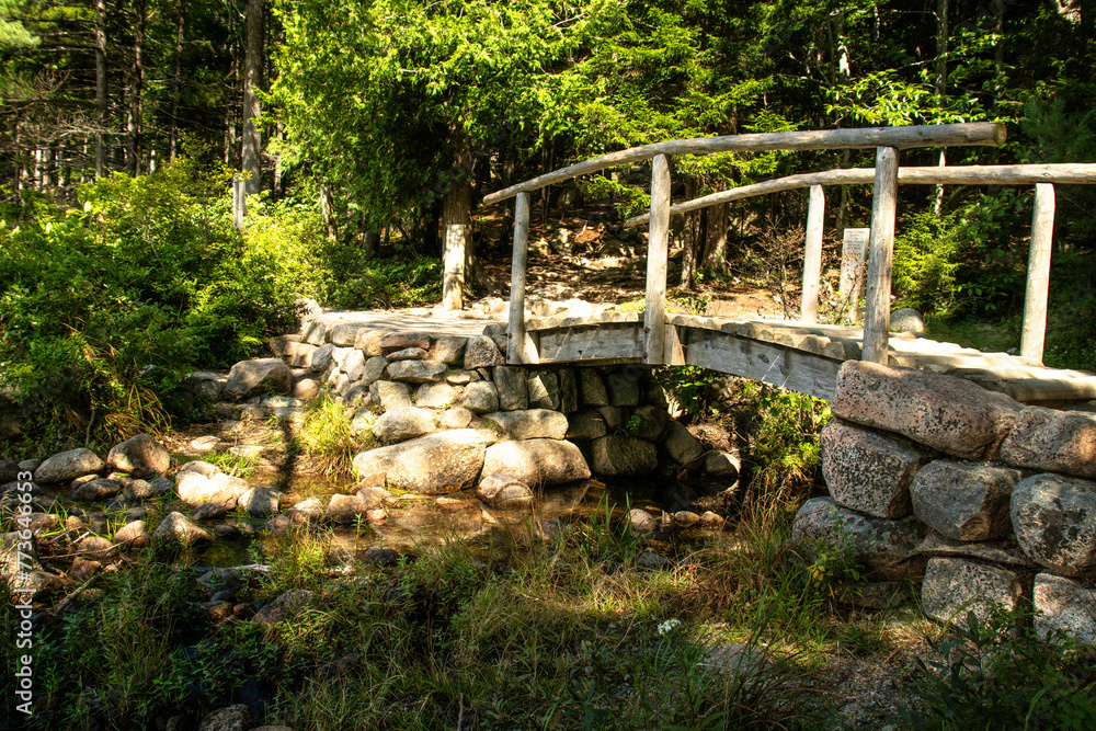 Bridge Path Bridge Path
