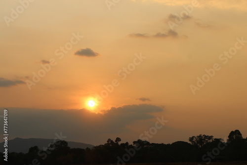 Typical panorama sunset landscape with trees. Tree silhouette against a big orange round setting sun. Dark tree on open field dramatic sunrise. Sky at dawn with clouds  twilight background.