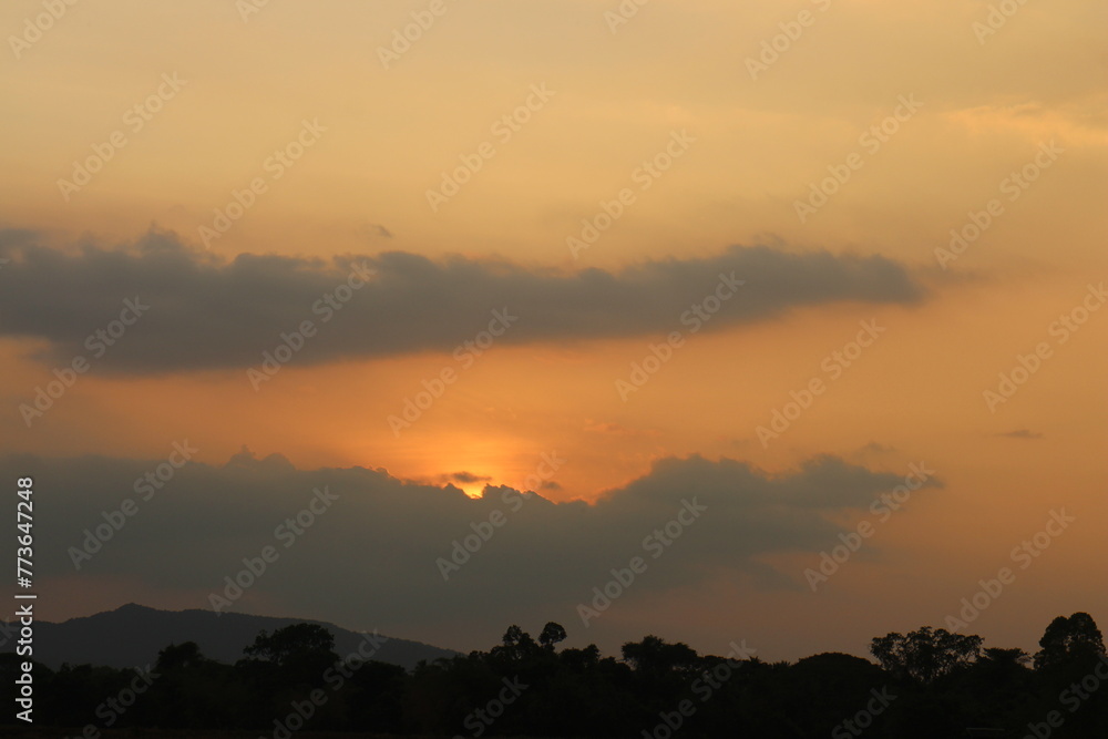 Typical panorama sunset landscape with trees. Tree silhouette against a big orange round setting sun. Dark tree on open field dramatic sunrise. Sky at dawn with clouds, twilight background. Typical panorama sunset landscape with trees. Tree silhouette against a big orange round setting sun. Dark tree on open field dramatic sunrise. Sky at dawn with clouds, twilight background.