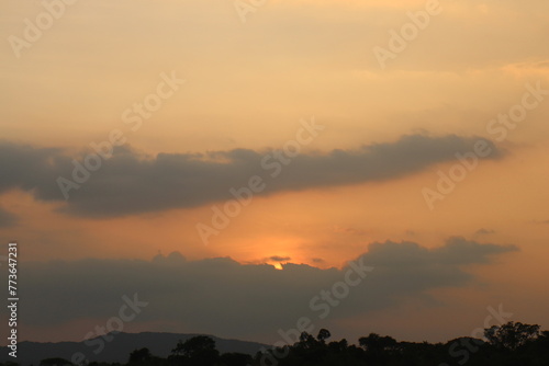 Typical panorama sunset landscape with trees. Tree silhouette against a big orange round setting sun. Dark tree on open field dramatic sunrise. Sky at dawn with clouds, twilight background.