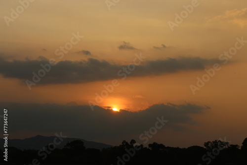 Typical panorama sunset landscape with trees. Tree silhouette against a big orange round setting sun. Dark tree on open field dramatic sunrise. Sky at dawn with clouds, twilight background.