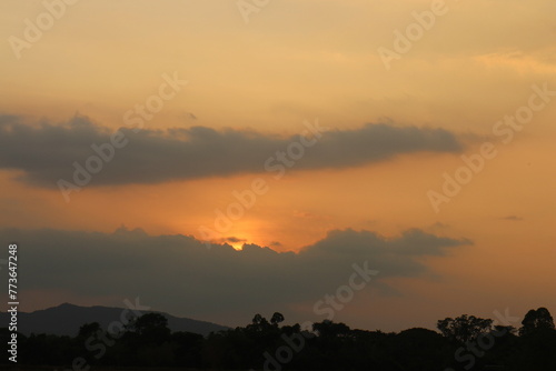 Typical panorama sunset landscape with trees. Tree silhouette against a big orange round setting sun. Dark tree on open field dramatic sunrise. Sky at dawn with clouds  twilight background.