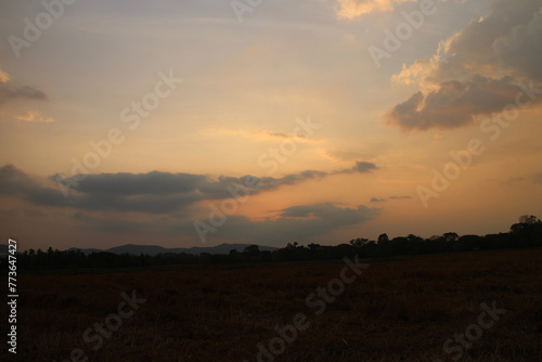 Colorful cloudy sky at sunset. golden color. Sky texture, abstract nature background © SISIRA
