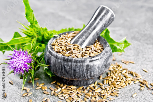Seeds milk thistle in mortar on stone