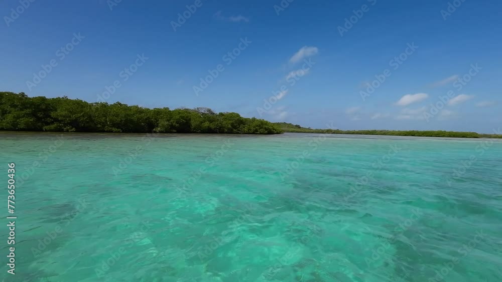 POV Sailing Inside crystal Clear Blue Lagoon from mangrove forest, Los Roques Archipelago POV Sailing Inside crystal Clear Blue Lagoon from mangrove forest, Los Roques Archipelago