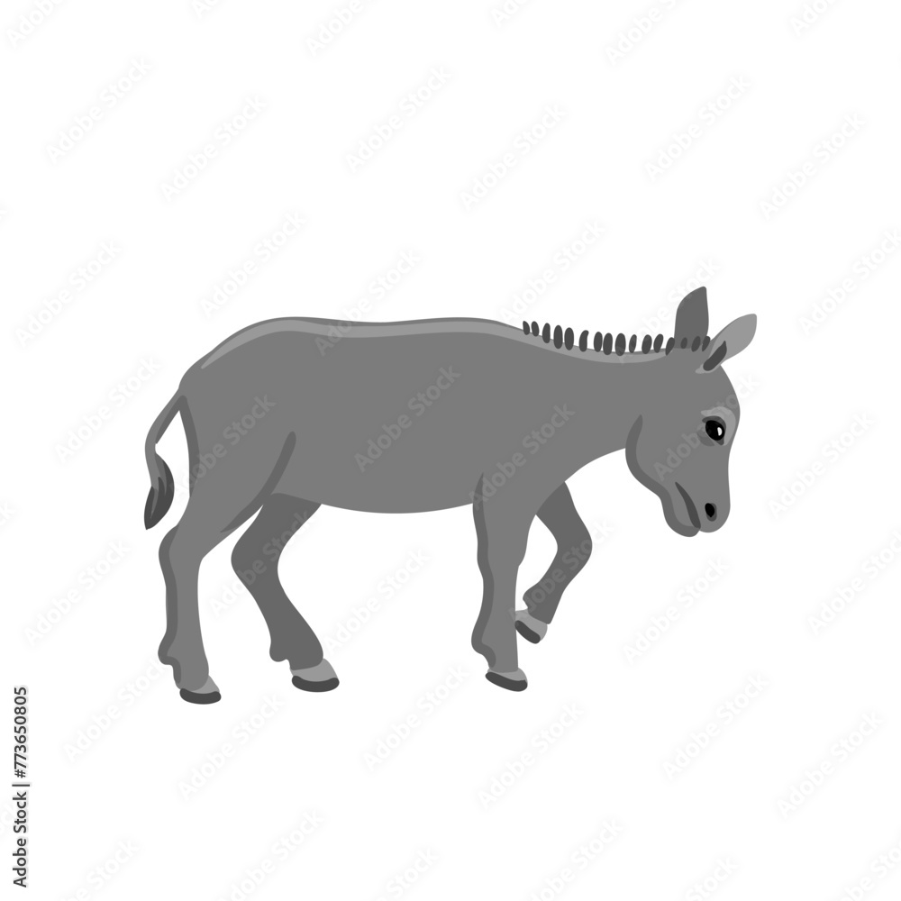 vector drawing grey donkey, farm animal isolated at white background, hand drawn illustration