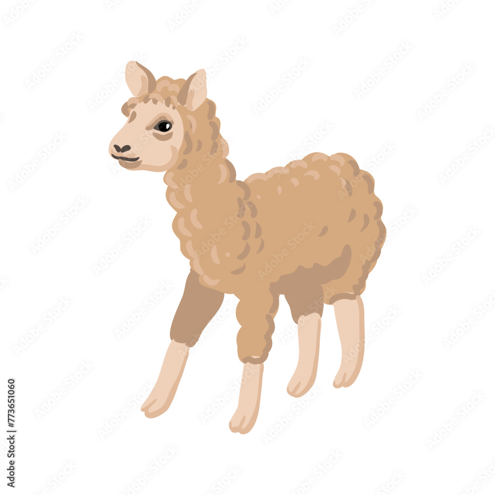 Fototapeta premium vector drawing llama, animal isolated at white background, hand drawn illustration