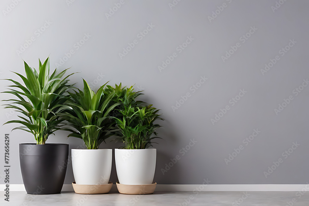 Plant in pots with copy-space background concept, blank space. Pottery Planters: Stylish Containers for Greenery