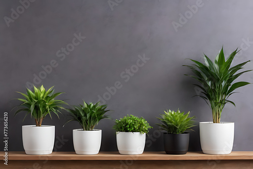 Plant in pots with copy-space background concept, blank space. Leafy Elegance: Stylish Potted Plant Arrangements