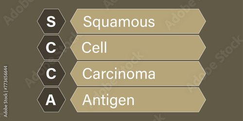 SCCA SCCA Squamous Cell Carcinoma Antigen. An Acronym Abbreviation of a common Medical term. Illustration isolated on red background
 photo