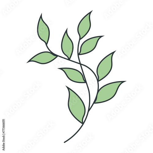 Hand Drawn Floral Botanical Branches. Isolated on White Background. Vector Illustration.