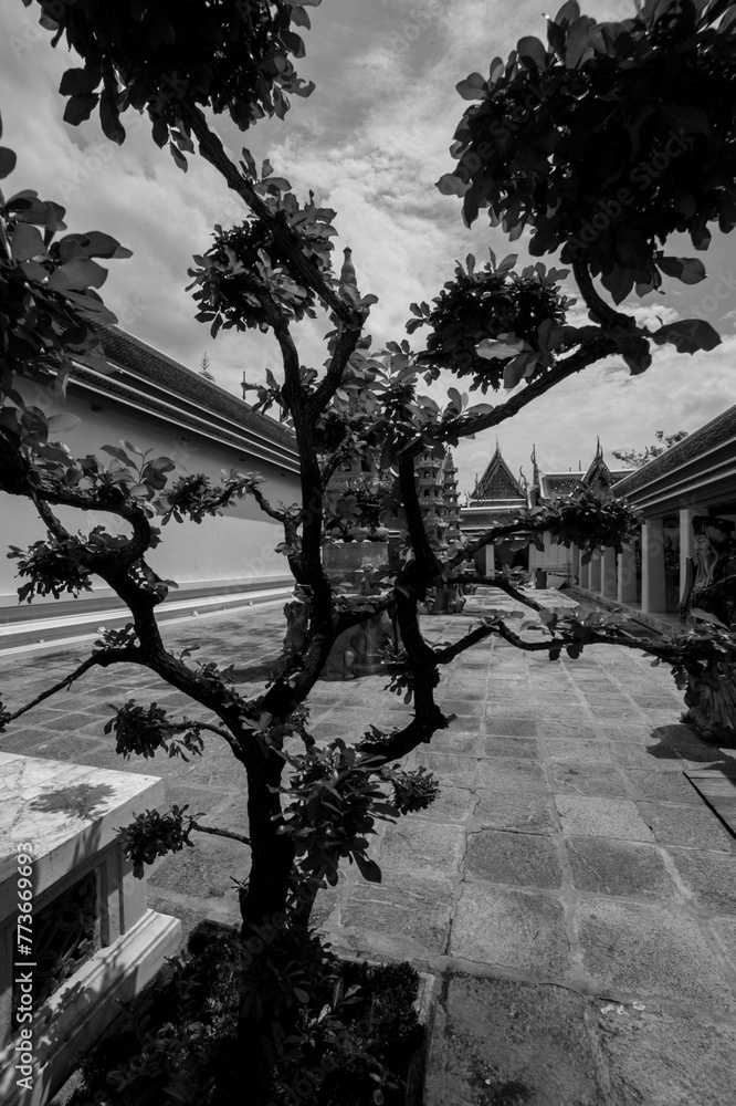 Obraz premium tample garden