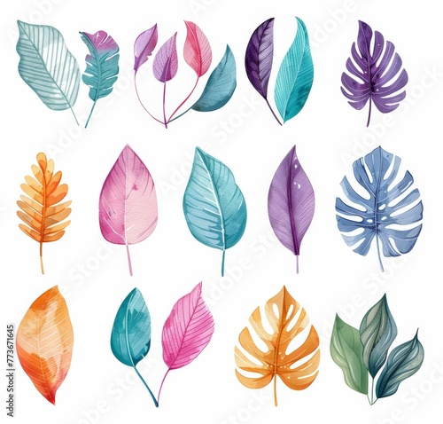 Collection of various colored leaves spread out on a clean white surface © pham