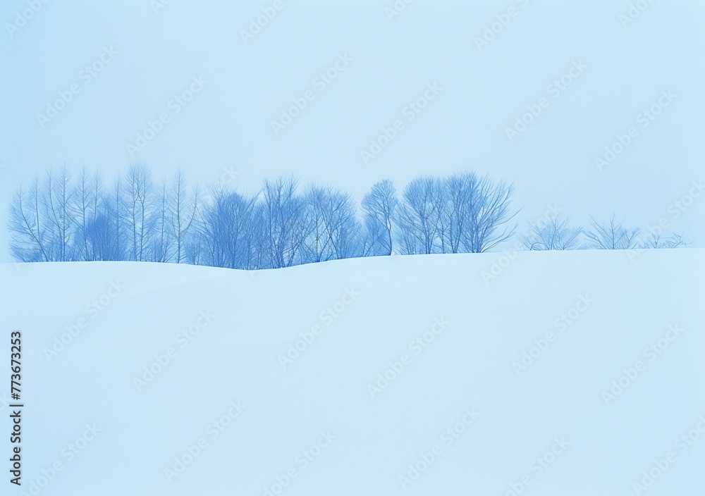 A snowy field with a few trees in the foreground A snowy field with a few trees in the foreground