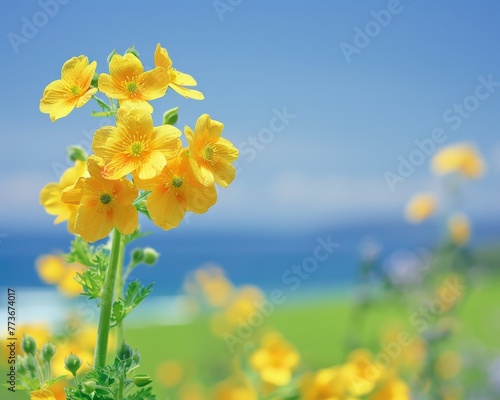 A yellow flower stands tall in a field of yellow flowers