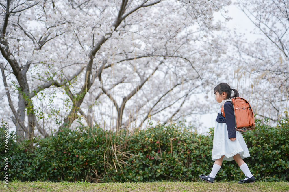 桜とランドセルの少女 桜とランドセルの少女