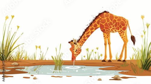 Giraffe drinking water from the puddle illustration
