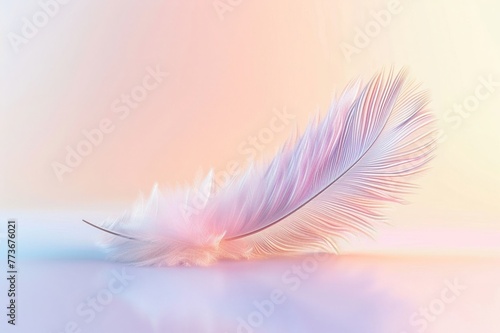 Feather on pastel background, soft focus, gentle hues, tranquil mood © ItziesDesign