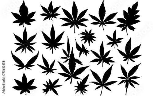 pattern with black and white leaves