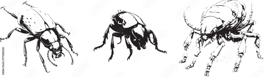 Black and white sketch of insect 