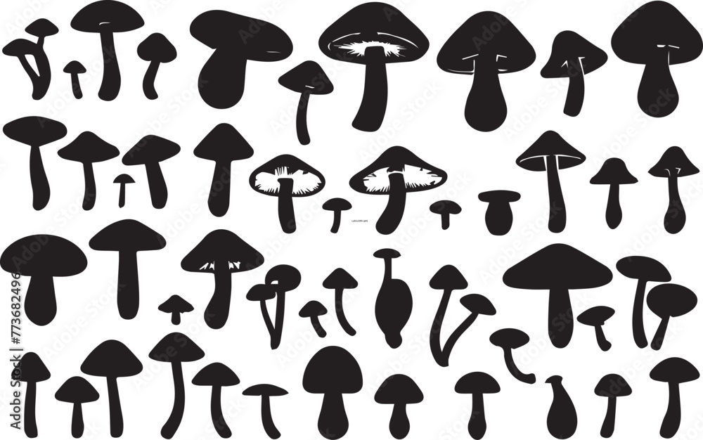 Black and white sketch of mushrooms Black and white sketch of mushrooms